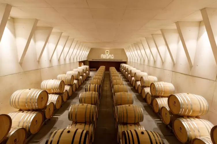 Vor allem Rotweine lagern in den F&auml;ssern: Ein Blick in den Weinkeller der Bodega Ribas.