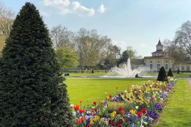 Der Ebertpark: Die Beete am Haupteingang wurden neu angelegt und ein „grünes Klassenzimmer“ eingerichtet. 