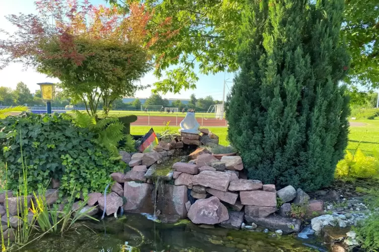 Ein kleines Idyll: W&auml;hrend die Fische im Teich vor sich hin schwimmen, drehen die Kicker der FG 08 ihre Runden. 