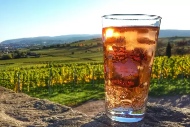 Blick auf die Weinberge mit Weingenuss im »Dubbe-Schobbe«. Blick auf die Weinberge mit Weingenuss im »Dubbe-Schobbe«.