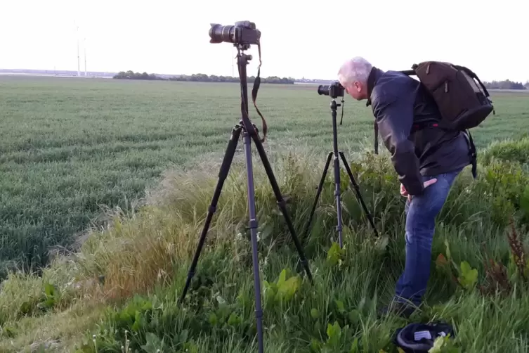 F&uuml;r seine Naturfotos muss Ulrich Fl&ouml;rchinger geduldig sein. 
