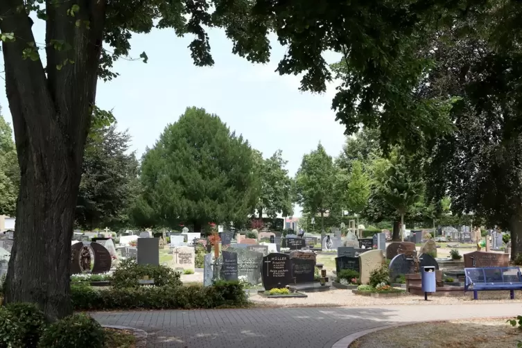 Auch auf dem Herxheimer Friedhof haben sich die Ameisen angesiedelt. 
