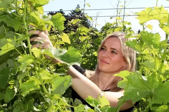 Winzerin Katharina Krieger liebt die Natur – und ihren Beruf. Winzerin Katharina Krieger liebt die Natur – und ihren Beruf.