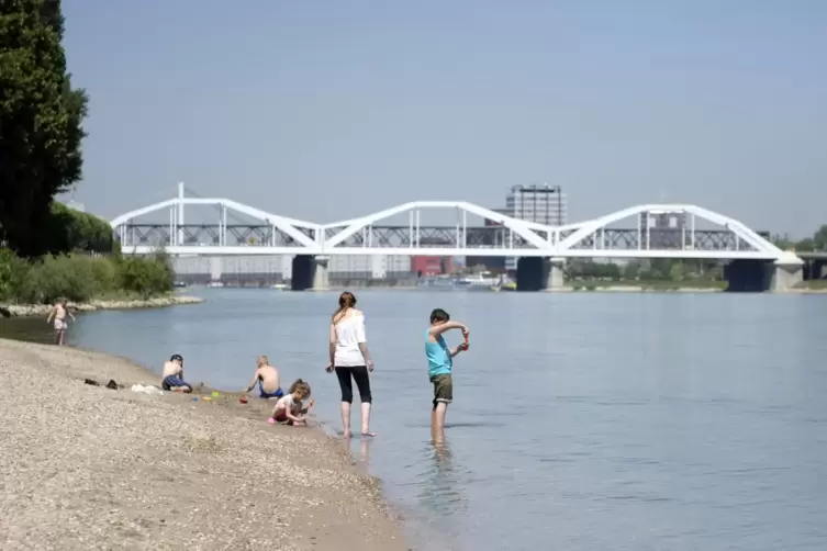 Auf der Parkinsel ist das Baden im Rhein erlaubt. Aber Experten warnen vor den Gefahren.
