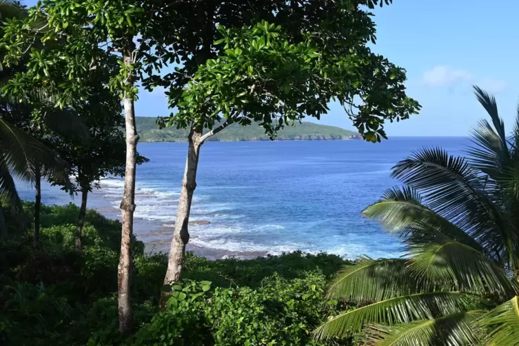 Eine Malaktion zugunsten einer Stiftung, die das Meer um den S&uuml;dseestaat Niue retten will, organisiert der Kunstverein Donnersbe