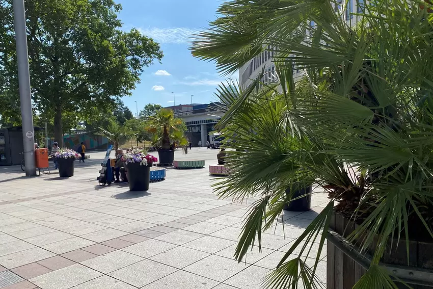 Eine Palme macht noch kein gutes Klima: Berliner Platz.