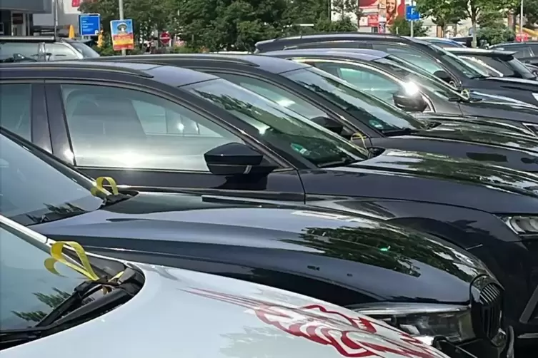 Am 19. Mai, einem Sonntag, hat das Unternehmen "Park & Control" in Kaiserslautern ziemlich viele ihrer gelben Kn&ouml;llchen verteilt