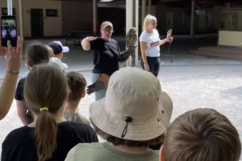 Andächtig hören die Kinder der Falknerin Courtney Iwersen und ihrere Helferin Theresa zu, als die die Tiere vorstellen. 