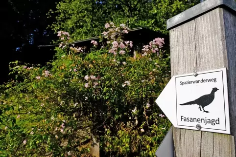 Der Wanderweg „Fasanenjagd“ führt unter anderem durch den Zweibrücker Wildrosengarten. Der Wanderweg „Fasanenjagd“ führt unter anderem durch den Zweibrücker Wildrosengarten.