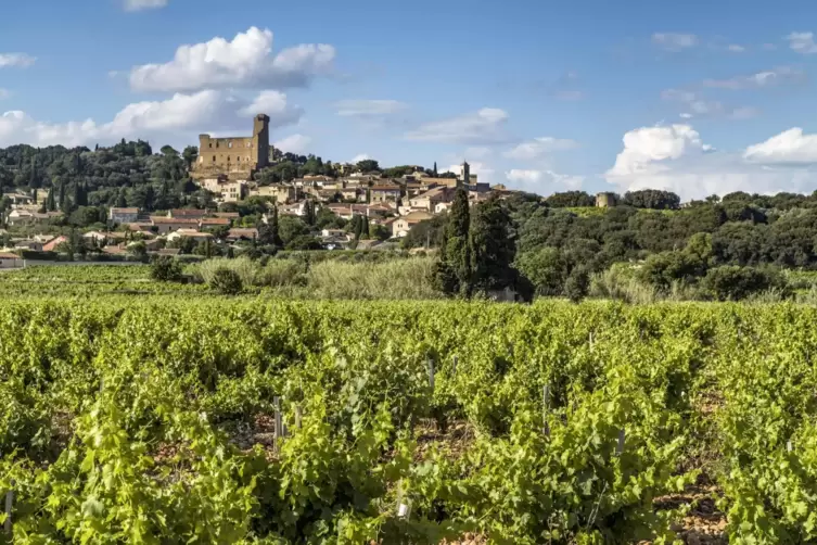 Aus Ch&acirc;teauneuf-du-Pape kommt nicht nur einer der bekanntesten Weine Frankreichs, sondern auch ein sehr ungew&ouml;hnliches Verbot.