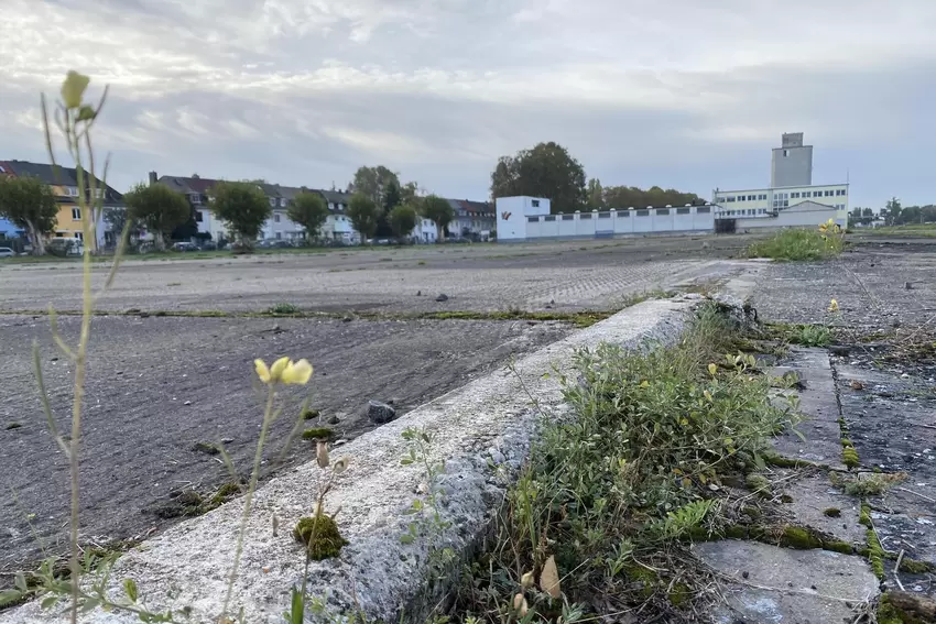 Zankapfel: Die Bebauung des südlichen Teils des Luitpoldhafens sorgt für Konflikte zwischen Hafen und Stadt-