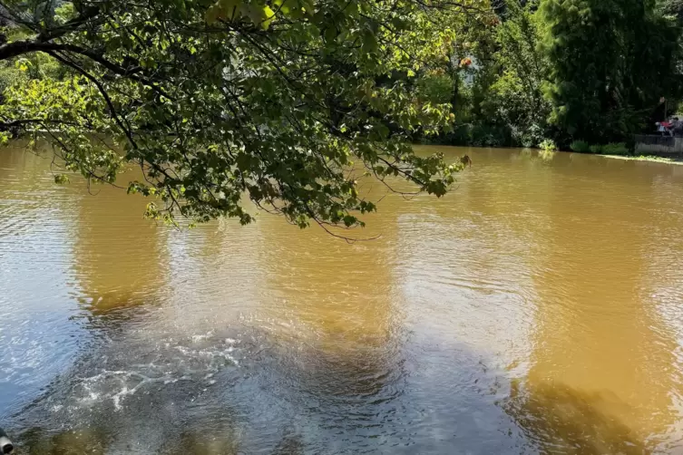 Unscheinbar, aber erf&uuml;llen ihren Zweck: Die neuen Pumpen in Annweiler sind unter Wasser, daher ist nur deren Str&ouml;mung (links unt