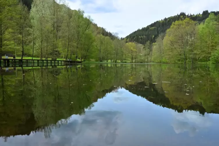 Naturidylle: der Helmbachweiher im Elmsteiner Tal. 