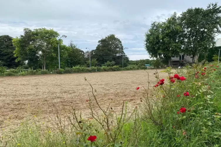 Idylle im Schatten der T&uuml;rme der BG Unfallklinik: der gro&szlig;e Reitplatz des Reit- und Fahrvereins Ludwigshafen.
