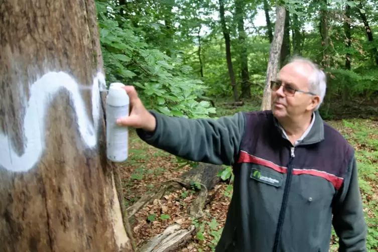 Werner H&auml;u&szlig;er markiert einen sogenannten Habitat- oder Biotopbaum.
