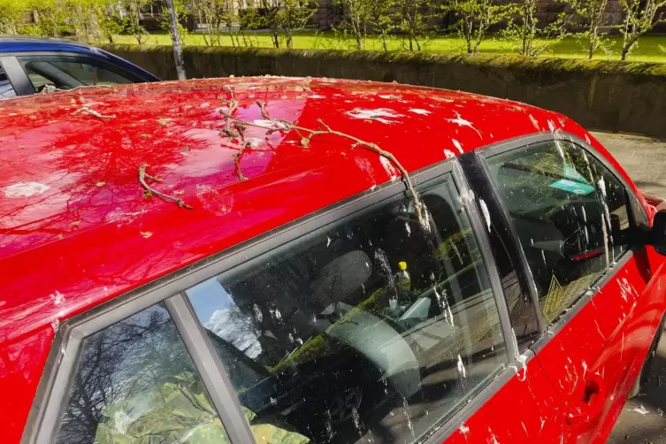 Kotflecken auf den Autos l&ouml;sen Jahr f&uuml;r Jahr gro&szlig;en &Auml;rger bei den Anwohnern aus.