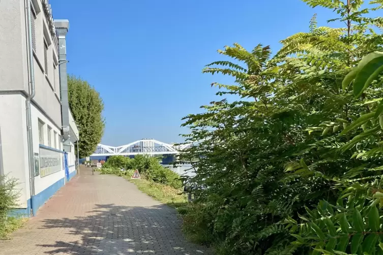 Am Mittwoch r&uuml;ckte ein M&auml;htrupp an und beseitigte den Wildwuchs. 