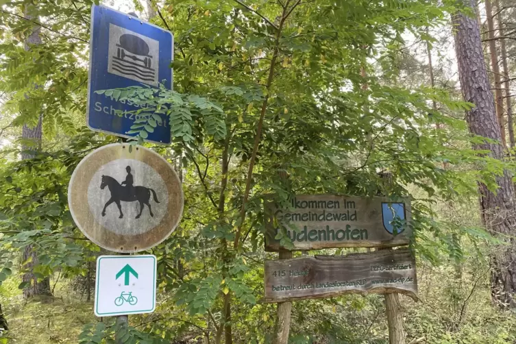 Bei Dudenhofen: Pferde und Radler werden getrennt.