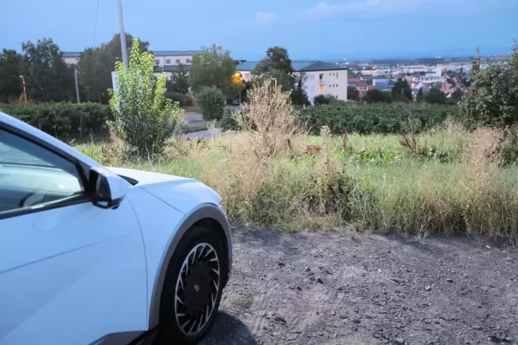 Ist zu weit weg: der Schotterplatz in den Weinbergen.