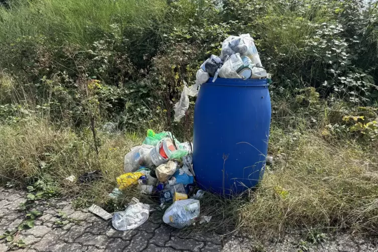 Die wenigen provisorischen M&uuml;lltonnen sto&szlig;en schnell an ihre Kapazit&auml;tsgrenzen. 