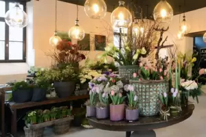 Blumenladen im Berzelhof: die Zeit ist vorbei. Blumenladen im Berzelhof: die Zeit ist vorbei.