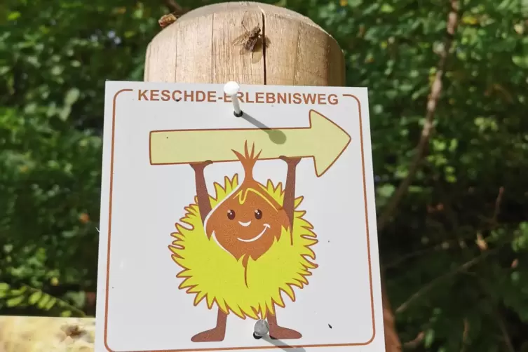 Wegweiser auf dem &bdquo;Keschde-Erlebnisweg&ldquo;. 