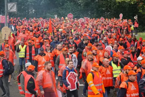 Eine Demo auf dem Fußballrasen vor einem Ligaspiel ist nicht möglich. Eine Demo auf dem Fußballrasen vor einem Ligaspiel ist nicht möglich.
