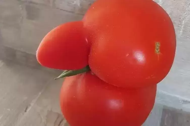 Tomate mit ...?