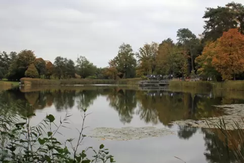 Rund um den Seewoog geht es für die Läufer am Sonntag. 