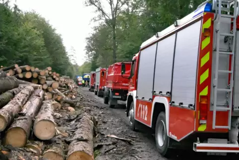 Ein Großaufgebot an Feuerwehrfahrzeugen im Wald bei Leimen. 