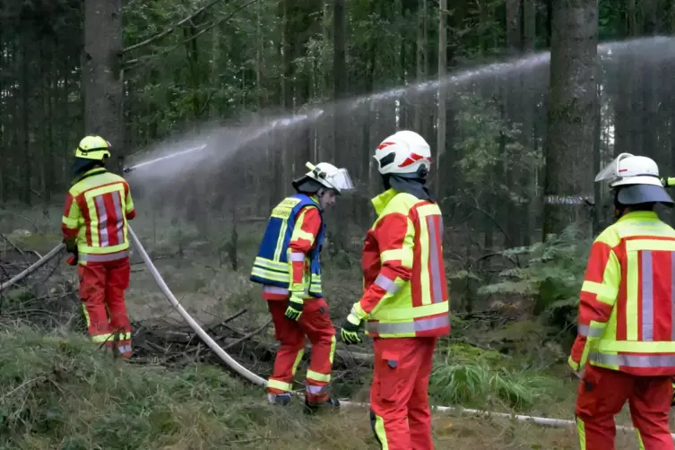 Die Feuerwehr nutzt "Kreisregner", um den Wald zu befeuchten und dadurch ein &Uuml;bergreifen der Flammen zu verhindern.