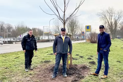 Das Einheitsbuddeln im Jahr 2021. 