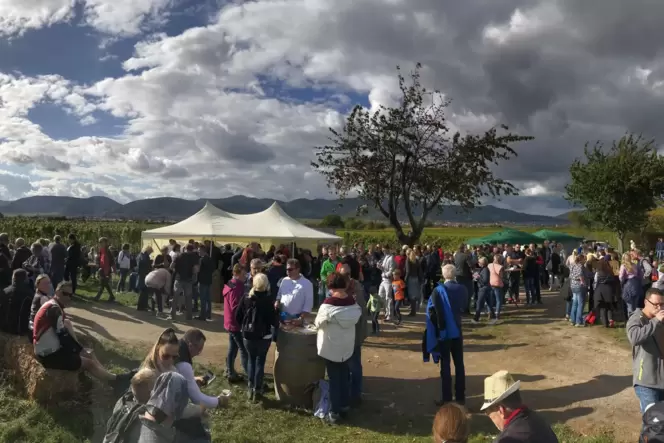 Weinproben vor Reben: Besucher in Kirrweiler. Weinproben vor Reben: Besucher in Kirrweiler.