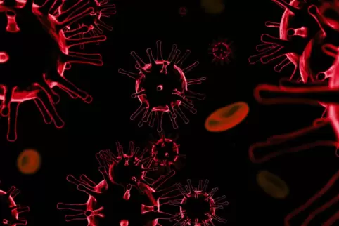 Das Coronavirus in einer 3D-Illustration. Im Januar 2020 rief die Weltgesundheitsorganisation eine internationale Gesundheitsnot