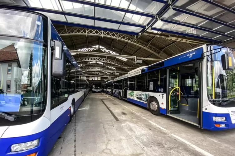 Die Palatina Bus GmbH bedient seit fast zehn Jahren viele Buslinien in der Vorderpfalz. 