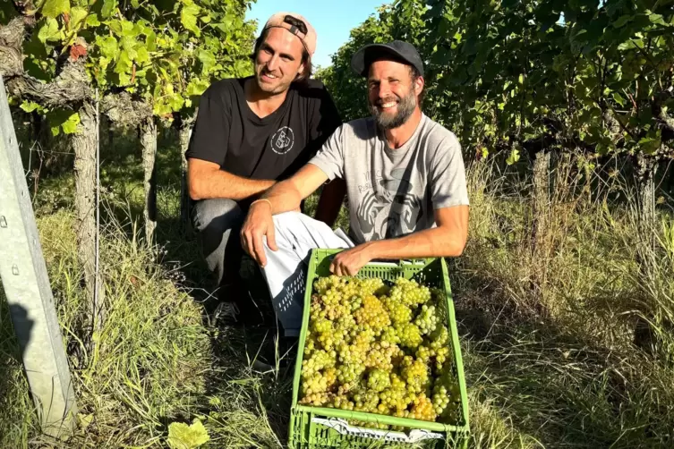 Mats Hilger und Jonathan Hollerith sind die Winzer der IMI Winery.