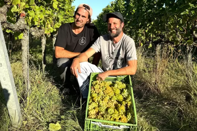 Mats Hilger und Jonathan Hollerith sind die Winzer der IMI Winery. Mats Hilger und Jonathan Hollerith sind die Winzer der IMI Winery.