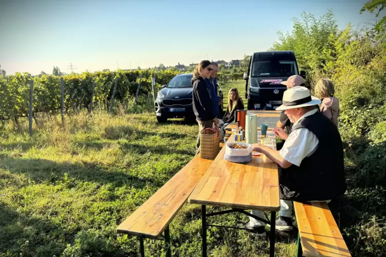 Die Erntehelfer st&auml;rken sich mit einem Fr&uuml;hst&uuml;ck im Weinberg.