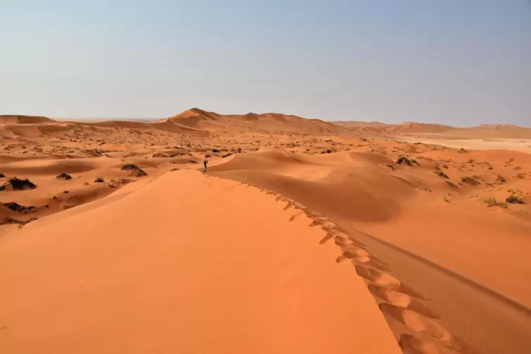 In den Sandfl&auml;chen der afrikanischen Namib-W&uuml;ste, die sich &uuml;ber rund 2000 Kilometer erstrecken, sind erstaunlich viele verschied
