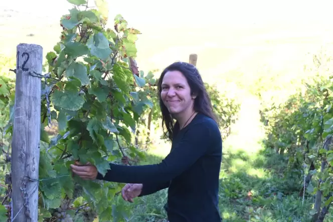 »Das Berntal ist ein Schatz«, sagt Winzerin Marie Adler. »Das Berntal ist ein Schatz«, sagt Winzerin Marie Adler.