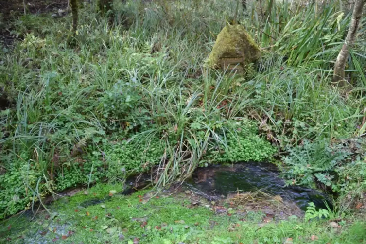Auf der gegen&uuml;berliegenden Seite der Landstra&szlig;e flie&szlig;t ein Teil des Wassers aus der Brunnenstube als Saarbach Richtung Tal. Ring