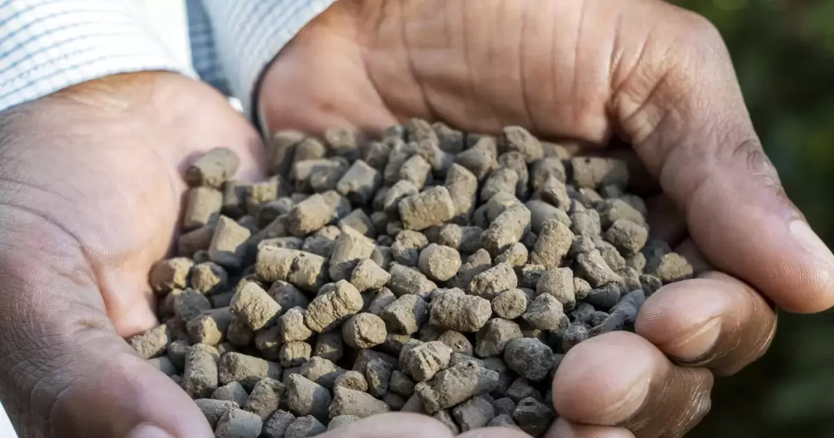 Wie aus Fkalien wertvoller Dnger wird - Umwelt - DIE RHEINPFALZ