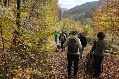Blick ins Karlstal: Die Wanderer marschieren bergab Richtung Finsterbrunnertal. 