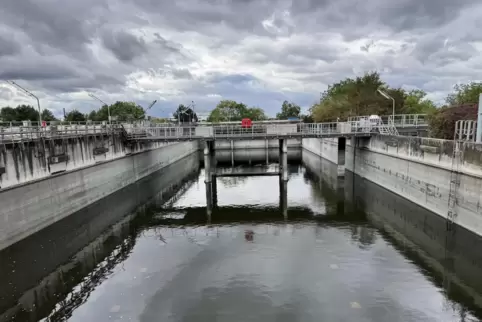 Auch mal Landeplatz für Wasservögel: eins von zahllosen Becken auf dem Gelände der BASF-Kläranlage.