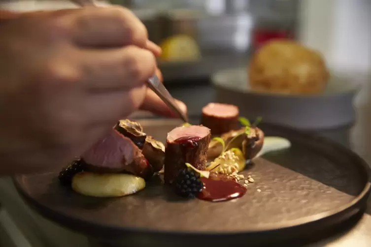 Vielfalt: Bei den Aktionswochen servieren teilnehmende Restaurants kreative wie schlichte Wild-Gerichte. 