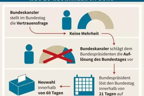 polineuwahlen