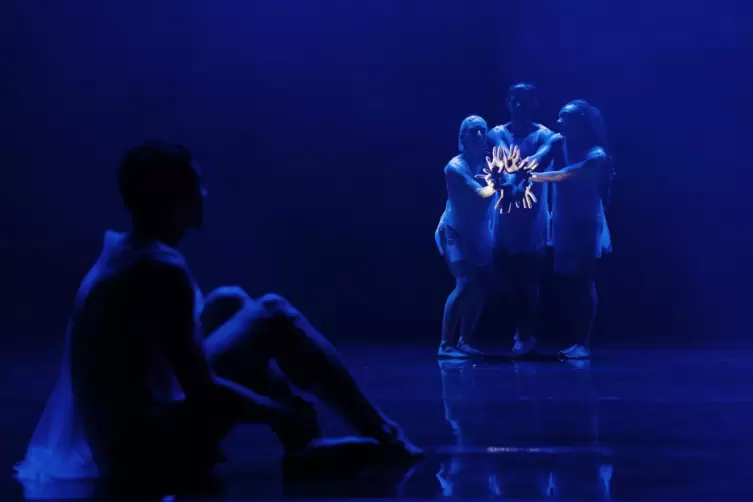 Von einer rätselhaften Qualle ließ sich der britische Choreograf Wayne McGregor zu „Deepstaria“ inspirieren.