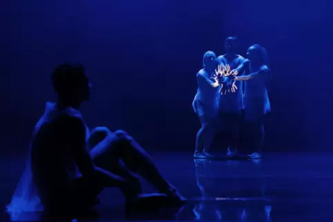 Von einer rätselhaften Qualle ließ sich der britische Choreograf Wayne McGregor zu „Deepstaria“ inspirieren.