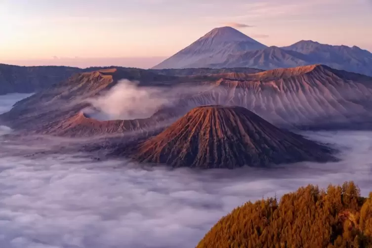 Steffen Hoppe h&uuml;pfte in Indonesien von Insel zu Insel und nahm dabei nicht nur Komodo-Warane vor die Linse, sondern auch Feuerbe