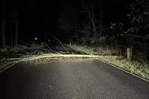 Bereits in der Nacht zum Montag lagen Bäume auf der Fahrbahn.